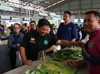 “รมช.เกษตร” ปักหมุดตลาดเกษตรกรเชียงราย หนุนบริโภคผลไม้ไทย ... พารามิเตอร์รูปภาพ 42